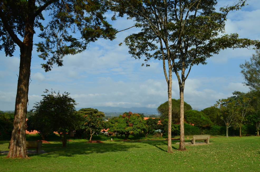 Mwangaza Ngong hills view